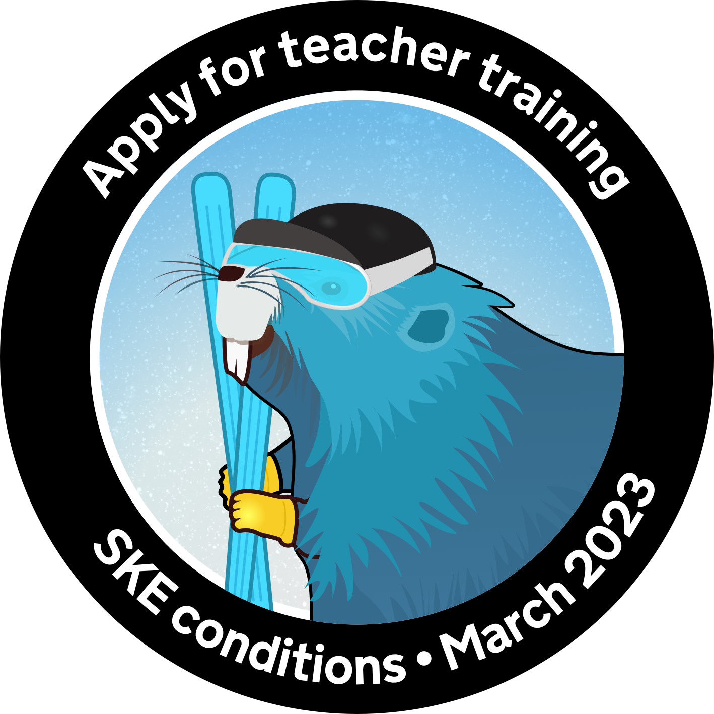 Screenshot of Apply for teacher training SKE conditions